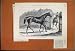 1881 Iroquois Winner Derby Racehorse Print With Text
