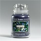 Blueberry Limited Edition Yankee Candle 22 oz