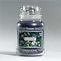 Yankee Candle - Blueberry - Very Rare