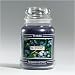 Yankee Candle - Blueberry 22oz Jar - Very Rare