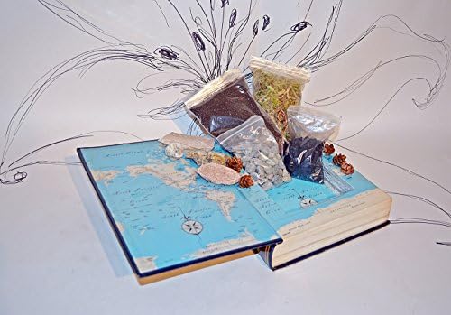 Upcycled Book Planter Kit
