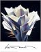 Arid Flower by Ed Mell. ART PRINT Canvas Rolled.. 12.00 inches width by 15.00 inches height. Highest Quality Art Poster Print