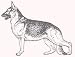 Dog Rubber Stamp - German Shepherd - 1F