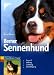 Berner Sennenhund: Auswahl, Haltung, Erziehung, Besch&auml;ftigung