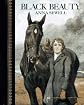 Black Beauty: Childrens Classics