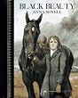 Black Beauty: Childrens Classics
