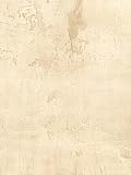 ALBENA TROMPE L'OEIL Wallpaper -SF20206 Wallpaper