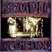 Temple of the Dog