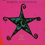A Star for Bram