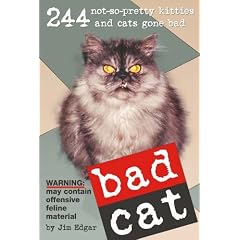 Bad Cat