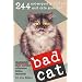 Bad Cat
