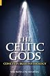 The Celtic Gods: Comets in Irish Mythology