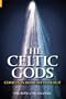 The Celtic Gods: Comets in Irish Mythology
