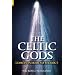 The Celtic Gods: Comets in Irish Mythology
