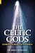 The Celtic Gods: Comets in Irish Mythology