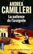 La patience de l'araign�e