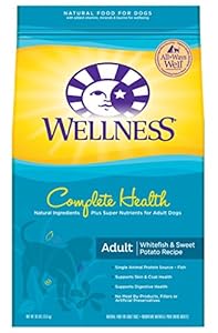 Wellness Complete Health Natural Dry Dog Food, Whitefish & Sweet Potato Recipe, 30-Pound Bag Wellness Complete Health Natural Dry Dog Food, Whitefish & Sweet Potato Recipe, 30-Pound Bag