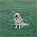 Pro-Handler Exercise Pen in Silver Height: X-Small (18