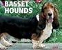 Just Basset Hounds