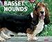 Just Basset Hounds 2007 Calendar