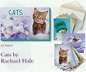 Leanin' Tree Cats by Rachael Hale Assortment: Blank Greeting cards