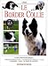 Le border collie