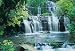 Brewster 8-256 Purakaunui Falls 8 Panel Mural with Paste, 12-Foot 1-Inch by 8-Foot 4-Inch