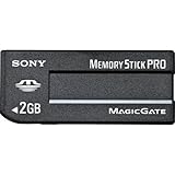 Sony flash memory card - 2 GB - MS PRO ( MSX2GS ) (Retail Package)