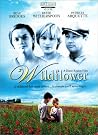 Wildflower