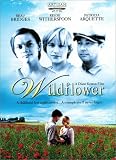 Wildflower