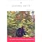 Fabulous Females - Memoirs with adventure & verve