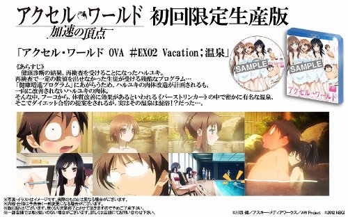 アクセル・ワールド -加速の頂点- (初回限定生産版)