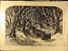 1860 Rifle-Volunteers Weir Surrey-Rifles Military Print