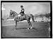 Photo Reprint HORSE SHOWS. UNIDENTIFIED MEN, MTD. OR HURDLING 1911