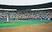 Baseball Wall Mural - 8'3