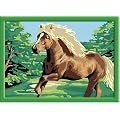 Ravensburger 278688 - Galoppierender Hengst - Malen nach Zahlen, 13 x 18 cm