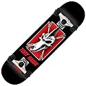 Birdhouse Silver Series Tony Hawk Ptero Skull Complete Skateboard