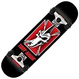 Birdhouse Silver Series Tony Hawk Ptero Skull Complete Skateboard