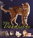 Traumkatzen: Alle Rassen - Alle Farben