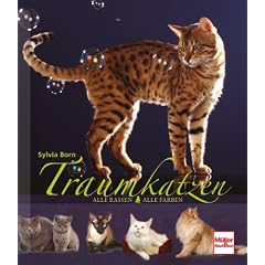 Traumkatzen: Alle Rassen - Alle Farben