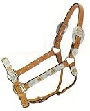 SIlver Royal Barbwire Trim Gold Star Show Halter