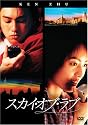 F4 Film Collection スカイ・オブ・ラブ 特別版 (初回限定豪華BOX仕様) [DVD]