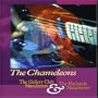 Chameleons: Live at the Gallery Club