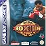 Mike Tyson Boxing