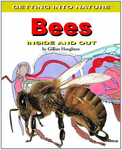 bees inside and out getting into nature