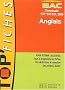 Top'Fiches : Anglais, Bac terminales STT, STI, STL, SMS (Fiches)