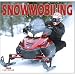 Snowmobiling 2009 Wall Calendar