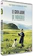 Le chien jaune de Mongolie