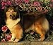 For the Love of Shetland Sheepdogs Deluxe 2005 Wall Calendar