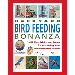 Secrets Backyard Bird Feeding Success Attracting